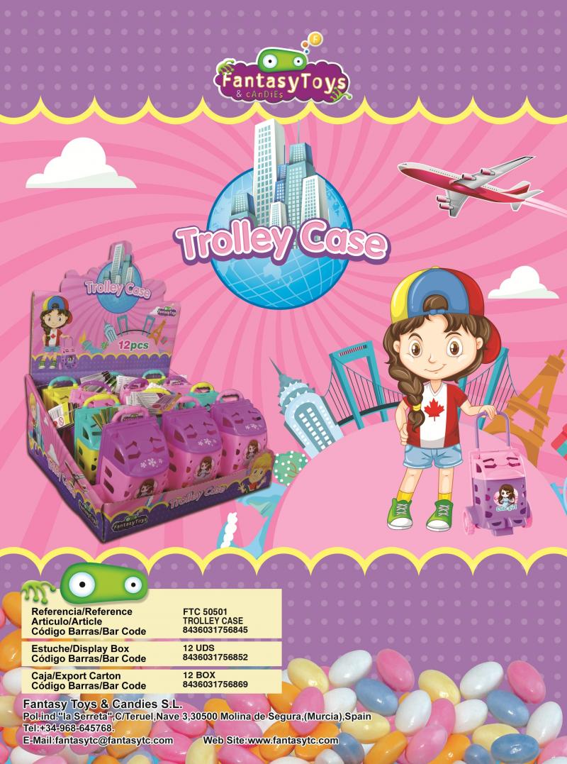 sh.501 Trolley Case (12x12)